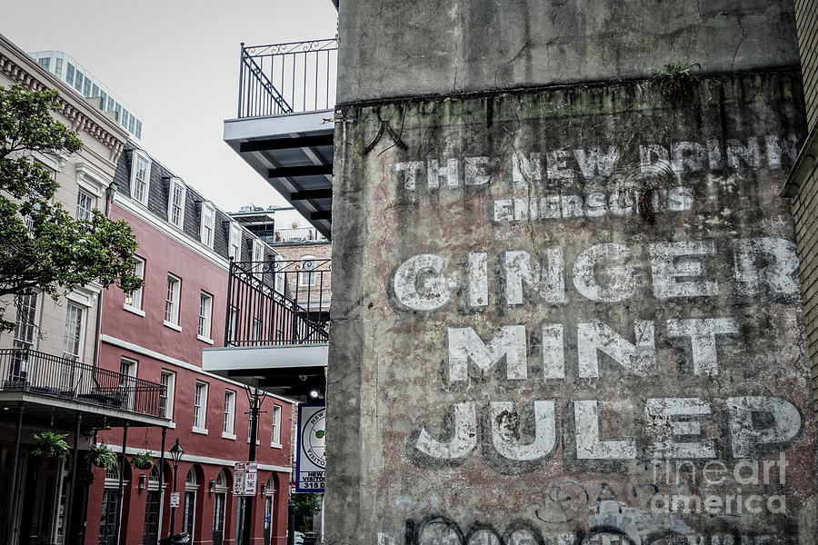 Mint Julep Sign Photograph by Shawn Dechant Fine Art America