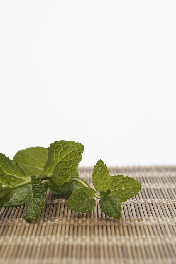 Mint leaves atop mat (focus on mint) Photograph by Thomas Northcut