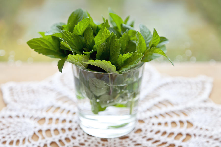 Mint Leaves In A Glass With Water Photograph by MurzikNata