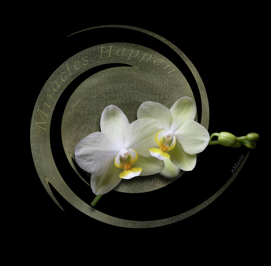 Miracles Happen - Orchid Twist Photograph by Patti Deters