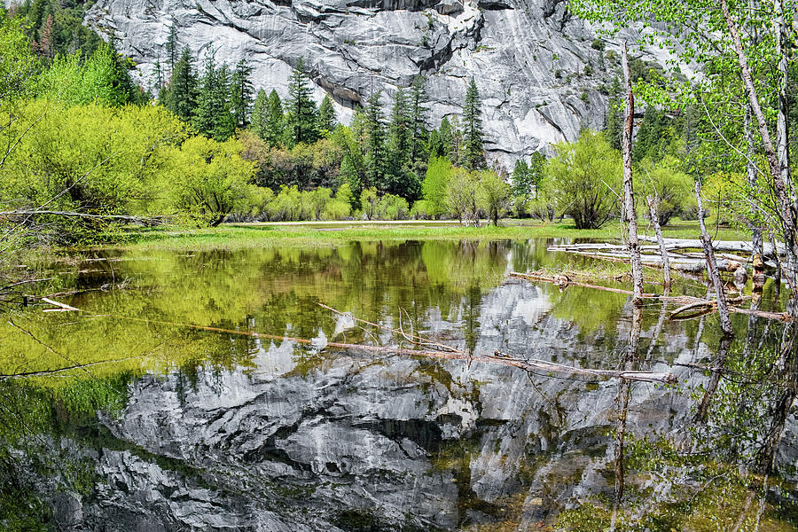 Mirror Lake Reflection Photograph by Kyle Hanson