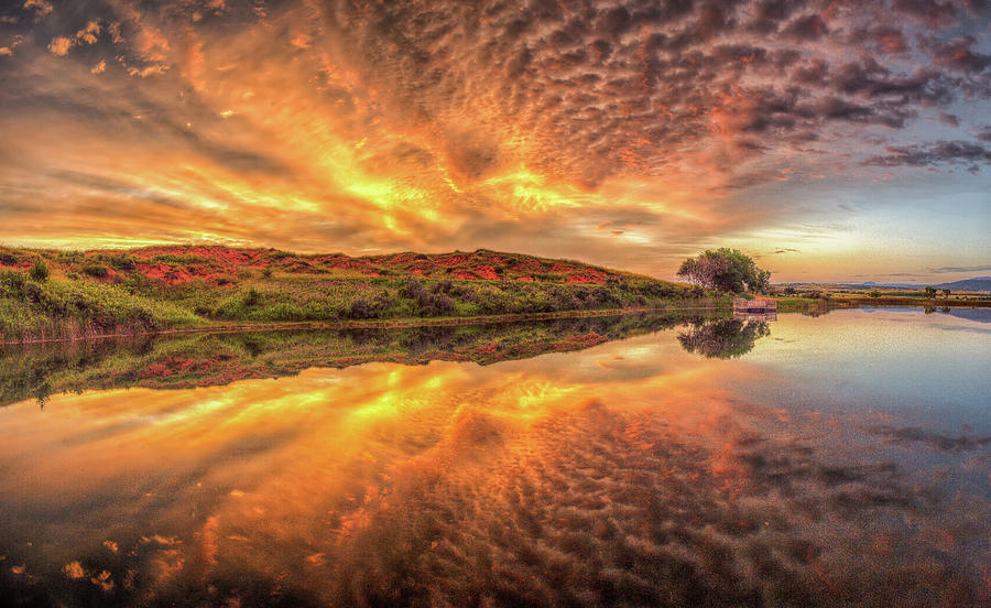 Mirror Lake Sunrise Reflection Photograph by Fiskr Larsen