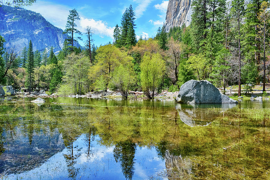 Mirror Lake Yosemite Photograph by Kyle Hanson