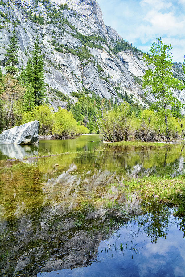 Mirror Lake Yosemite Portrait Photograph by Kyle Hanson