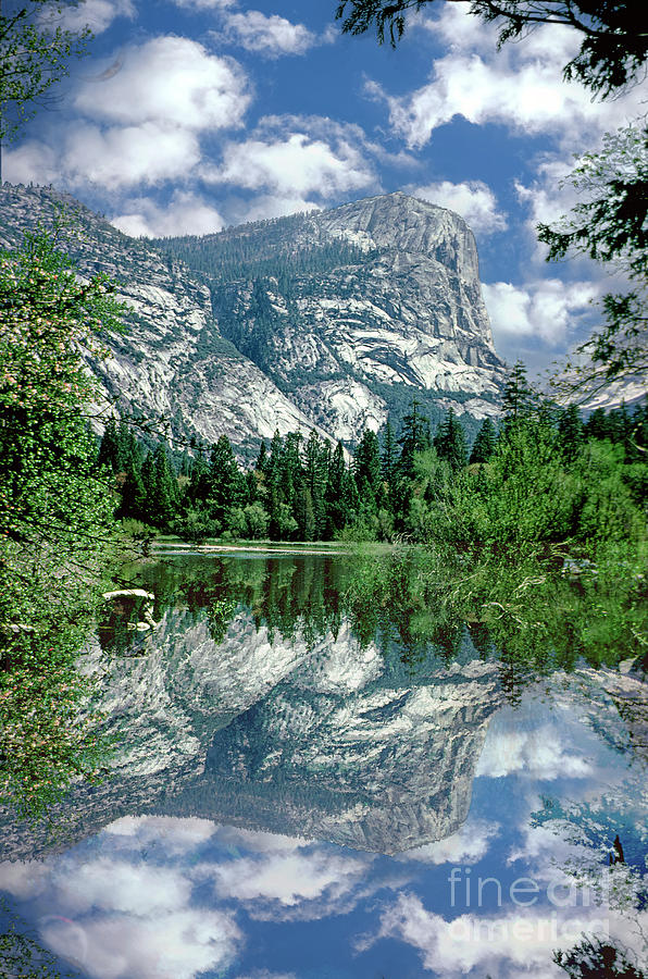 Mirror Lake Yosemite Vertical Photograph by David Zanzinger