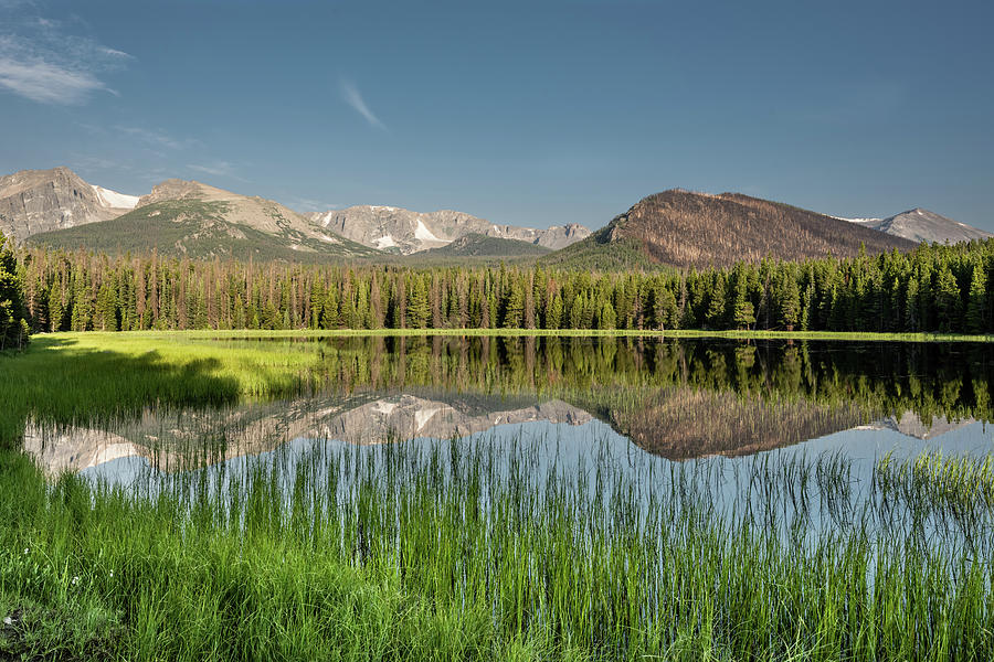 Mirror Like Bierstadt Lake In Morning Photograph by Kelly VanDellen
