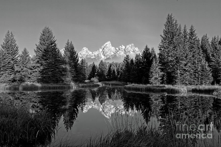 Grand Teton National Park Photograph - Mirror Mirror in Black and White by Paul Quinn