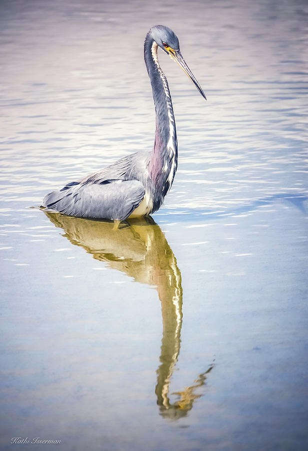 Mirror, Mirror Photograph by Kathi Isserman - Fine Art America