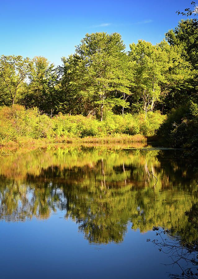 Mirror Pond Photograph by Steven Nelson