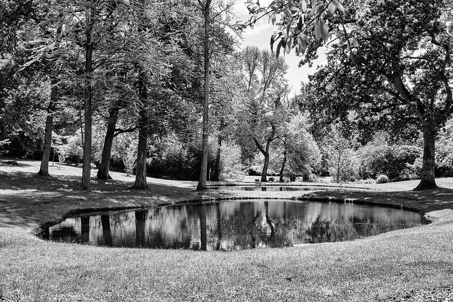 Mirror Ponds at Exbury Gardens  Photograph by Shirley Mitchell