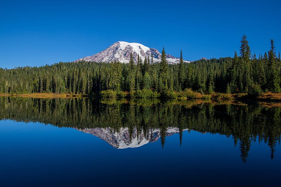 Mirror reflection of Mount Rainier Photograph by Lynn Hopwood