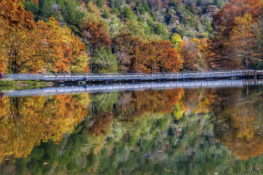 Mirrored Fall Colors Photograph by Pam Rendall