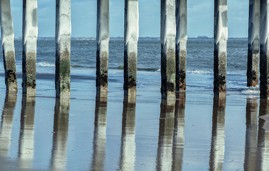 Mirrored Pilings Photograph by Cate Franklyn