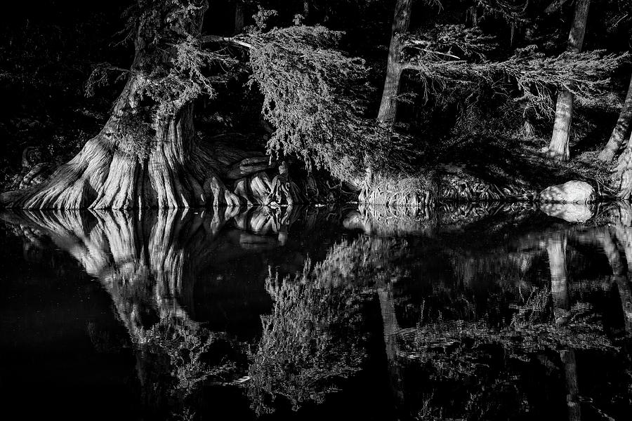 Mirrored Reflections Along the Guadalupe in Black and White Photograph by Lynn Bauer