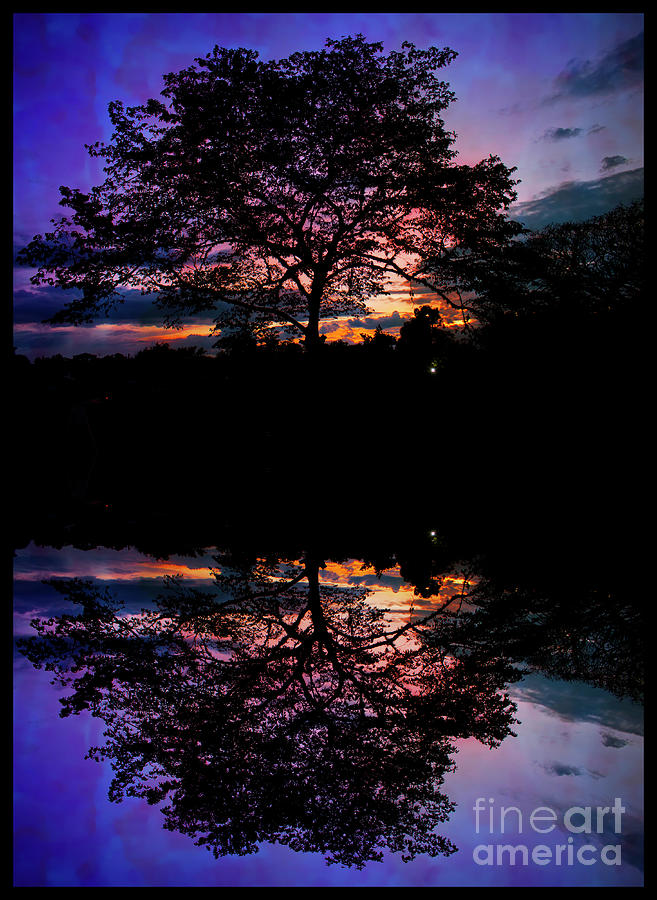 Mirrored Silhouette Of Trees At Sunset Photograph by Al Bourassa