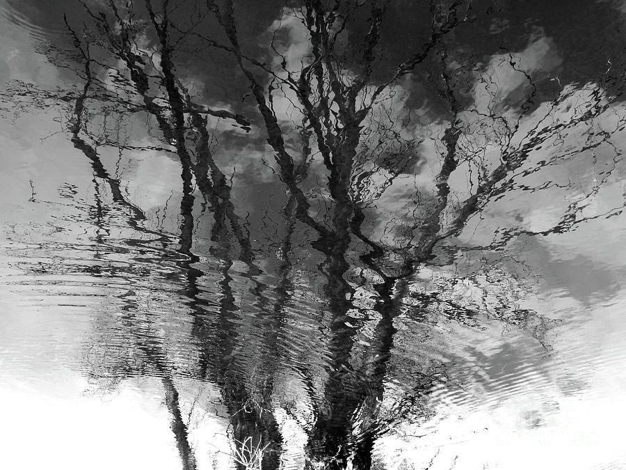 Mirroring Photograph by Art by Magdalene