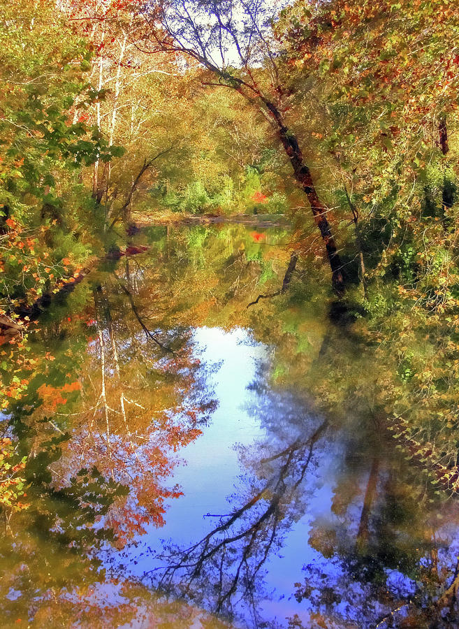 Mirrors Of Autumn Digital Art by Randall Dill