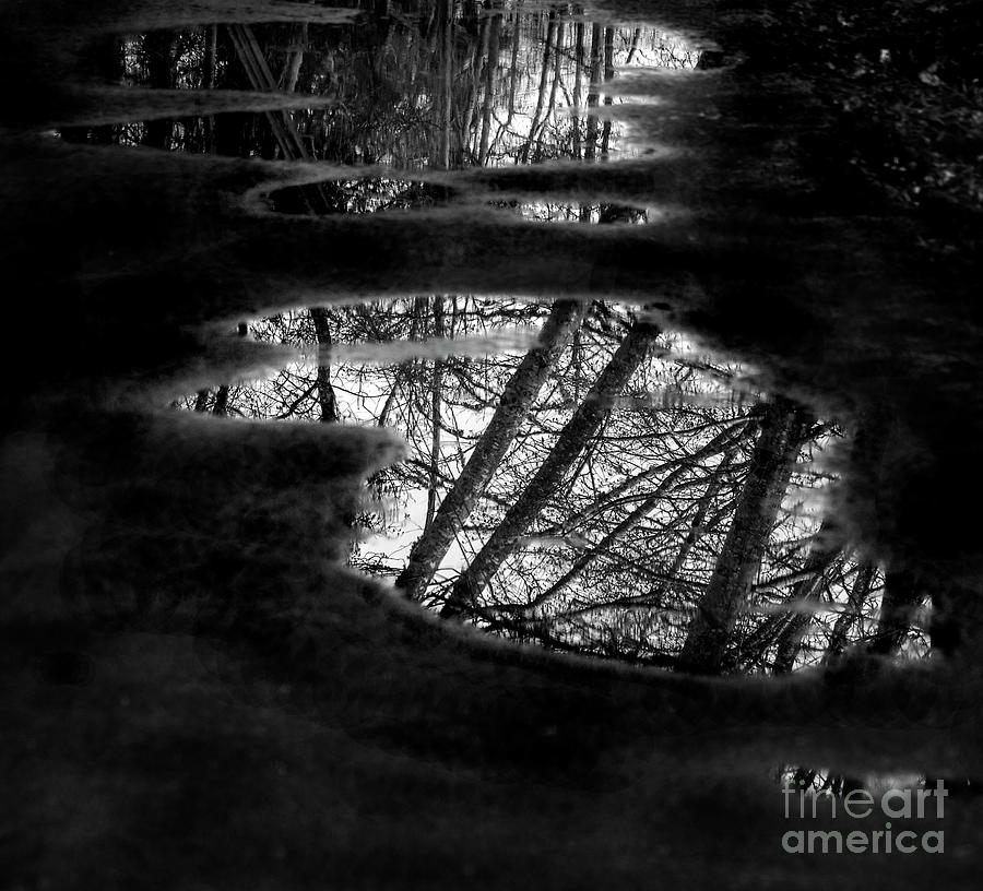 Mirrors Riverwalk 2021 Photograph By Michael Ziegler Fine Art America