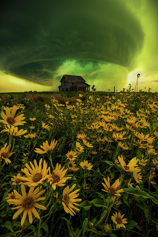311 Photograph - Misdirected Hostility by Aaron J Groen