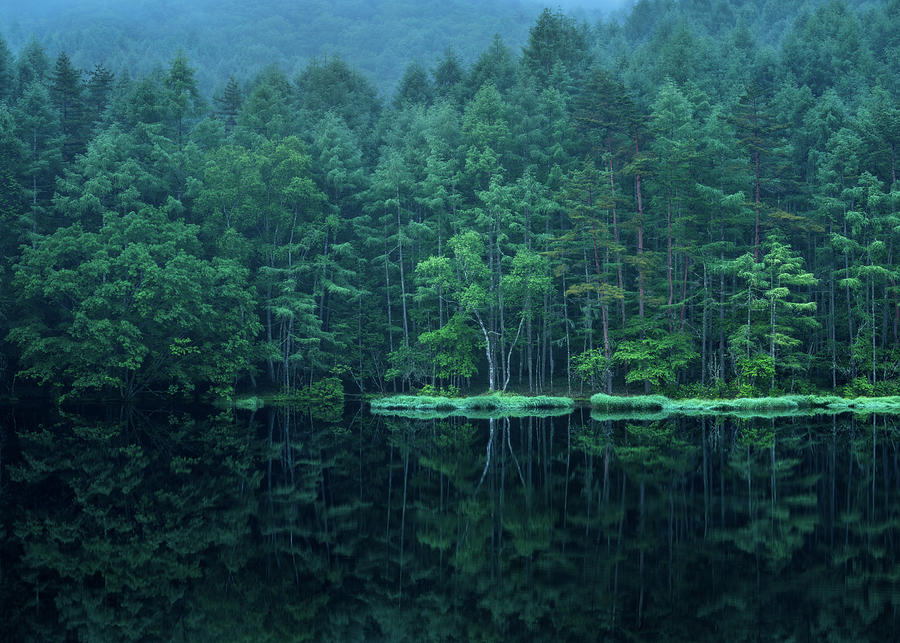 Mishakaike Pond in Summer, Nagano, Japan Photograph by Jordan McChesney ...