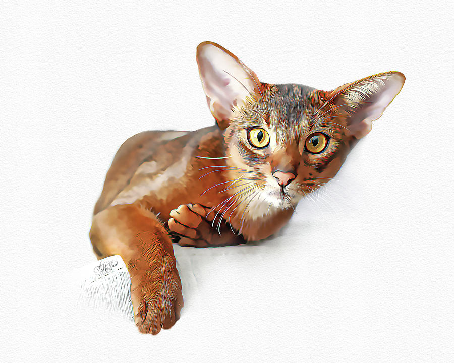 Cat Digital Art - Miss Abby by Anita Hubbard