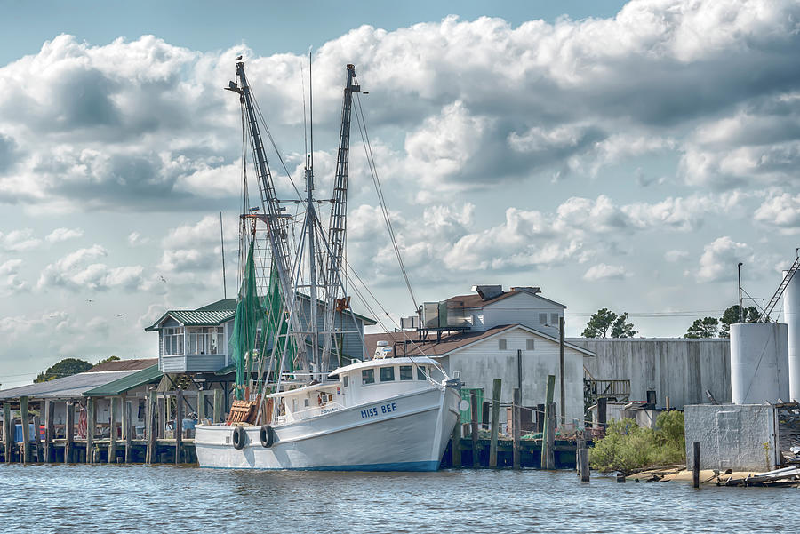 Miss Bee in Engelhard NC #7446 Photograph by Susan Yerry - Fine Art America