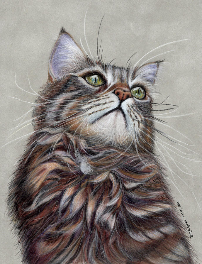 Miss Kitty Drawing by Dianne Mayne - Fine Art America