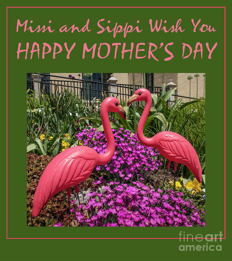 Missi and Sippi Mothers Day Card Photograph by Garry McMichael