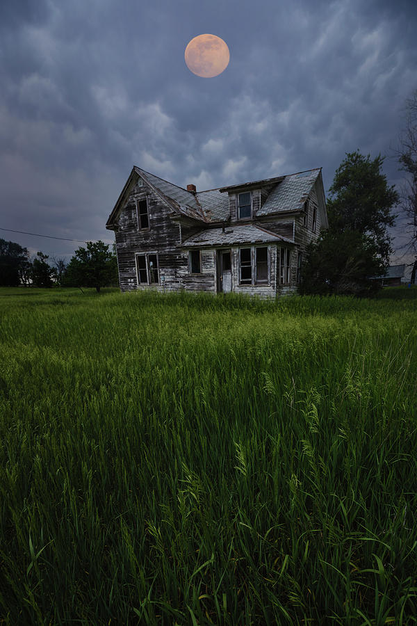 Missing You Photograph by Aaron J Groen
