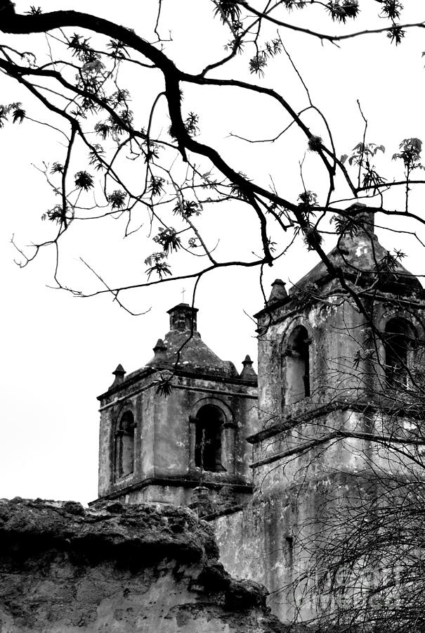Mission Concepcion Towers and Tree in Black and White Photograph by Expressions By Stephanie