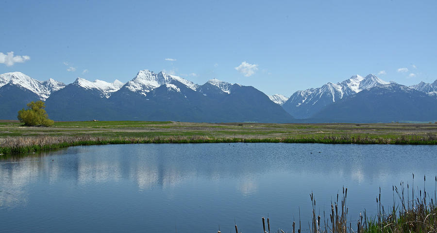 Mission Mountains In Spring Photograph