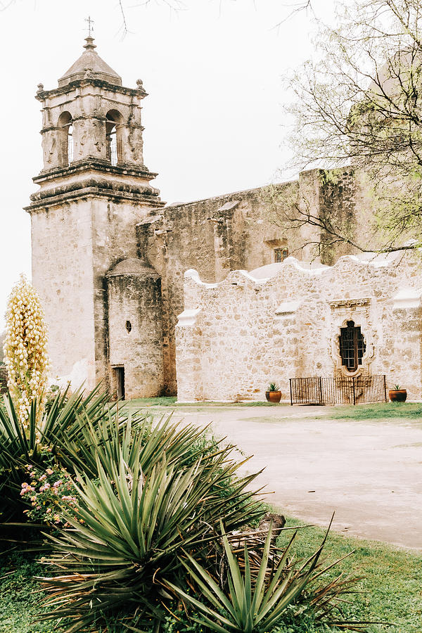 Mission San Jose Tower Photograph by Iris Greenwell