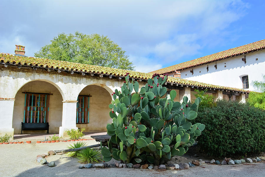 Mission San Miguel Cactus Courtyard Photograph by Kyle Hanson
