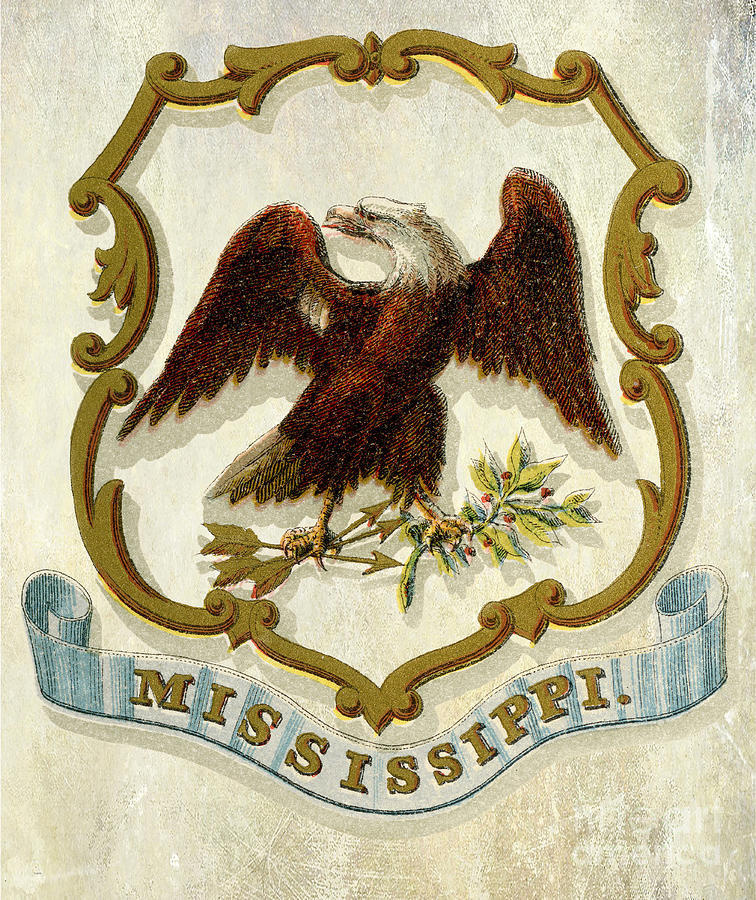Mississippi Coat of Arms 1876 Photograph by Jon Neidert