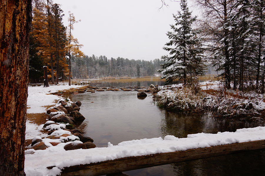 Mississippi Headwaters Photograph by Steven Clipperton