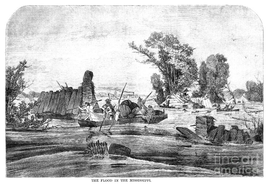 Mississippi River Flood, 1859 Drawing by Granger