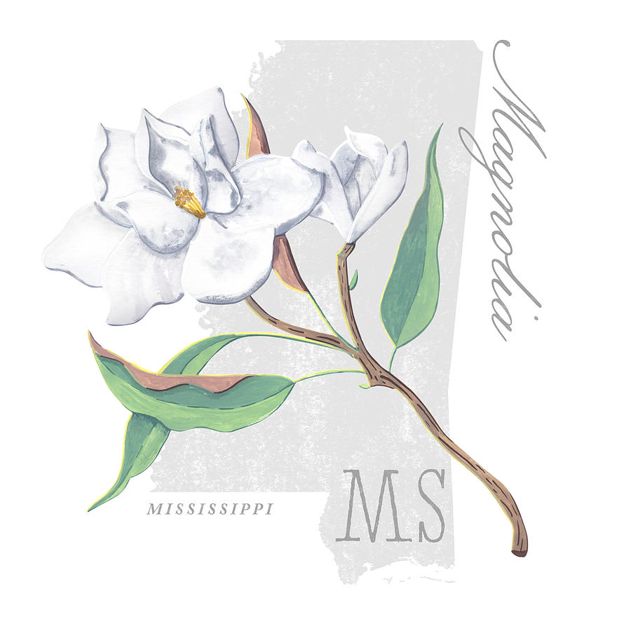 Mississippi State Flower Apple Blossom Art by Jen Montgomery Painting by Jen Montgomery