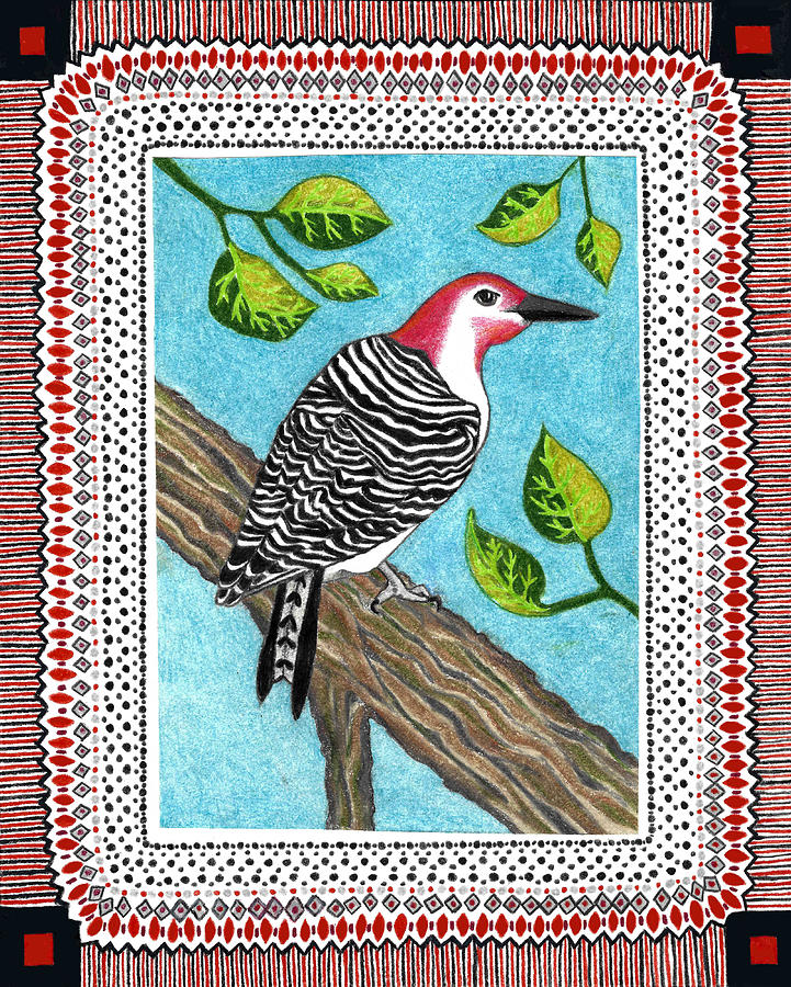 Mississippi Woodpecker Drawing by Lorena Cassady