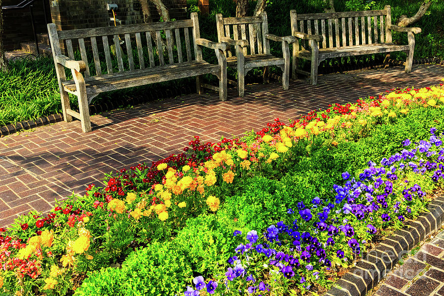 Missouri Botanical Garden Flowers and Benches Photograph by Ben Graham