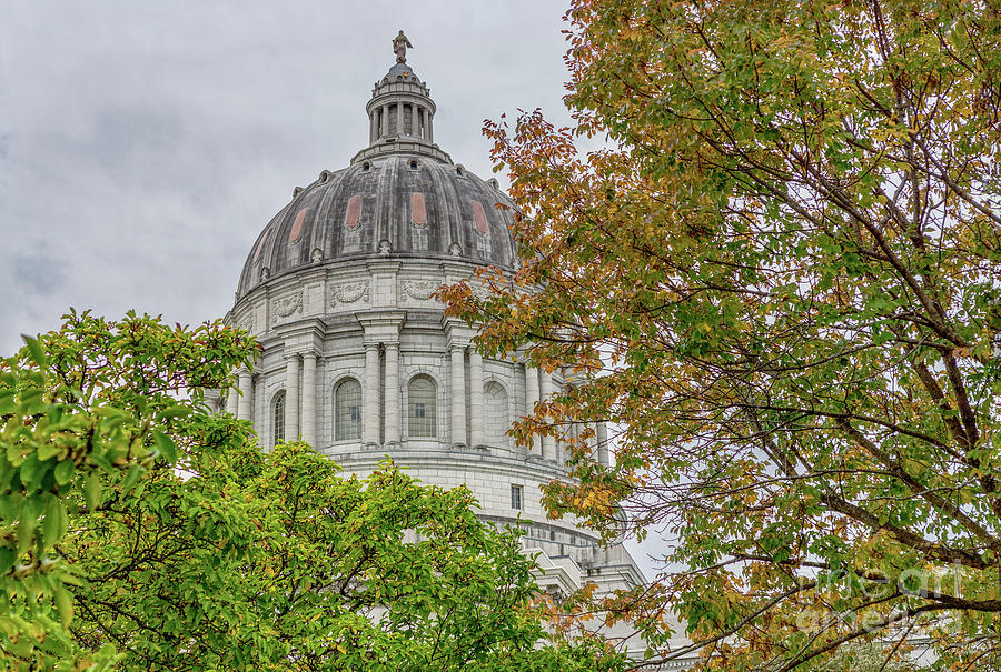 Missouri Capitol Dome Tree Framed Photograph by Jennifer White