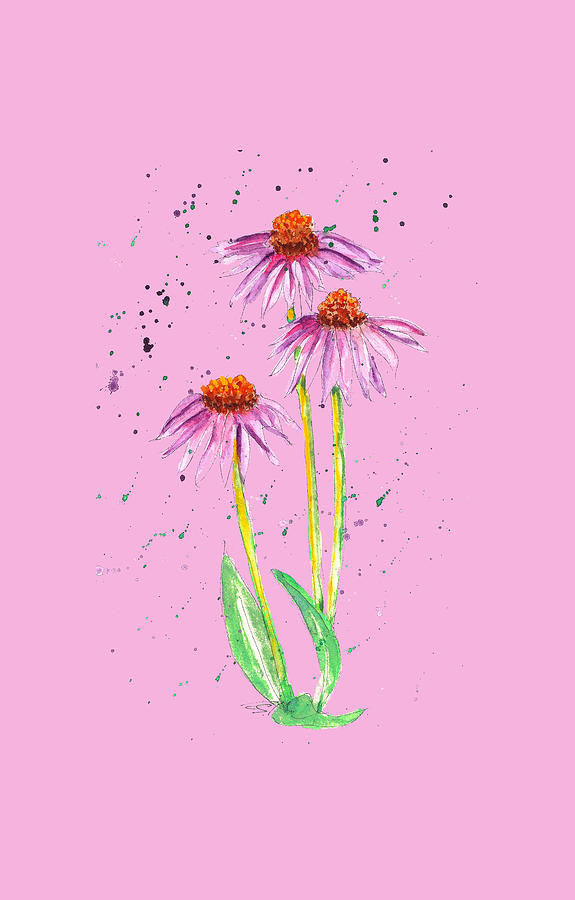 Missouri Cone Flower Painting by Petra Stephens