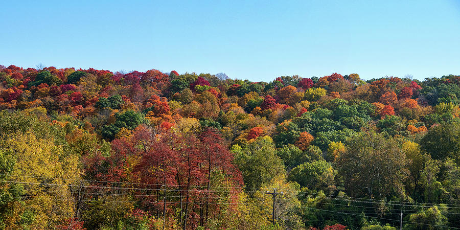 Missouri Countryside Panoramic Photograph by Steve Stuller - Fine Art ...