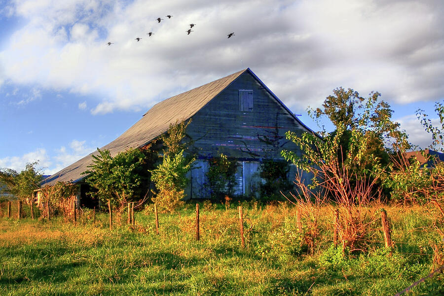 Missouri Farm Photograph by Robert Harris