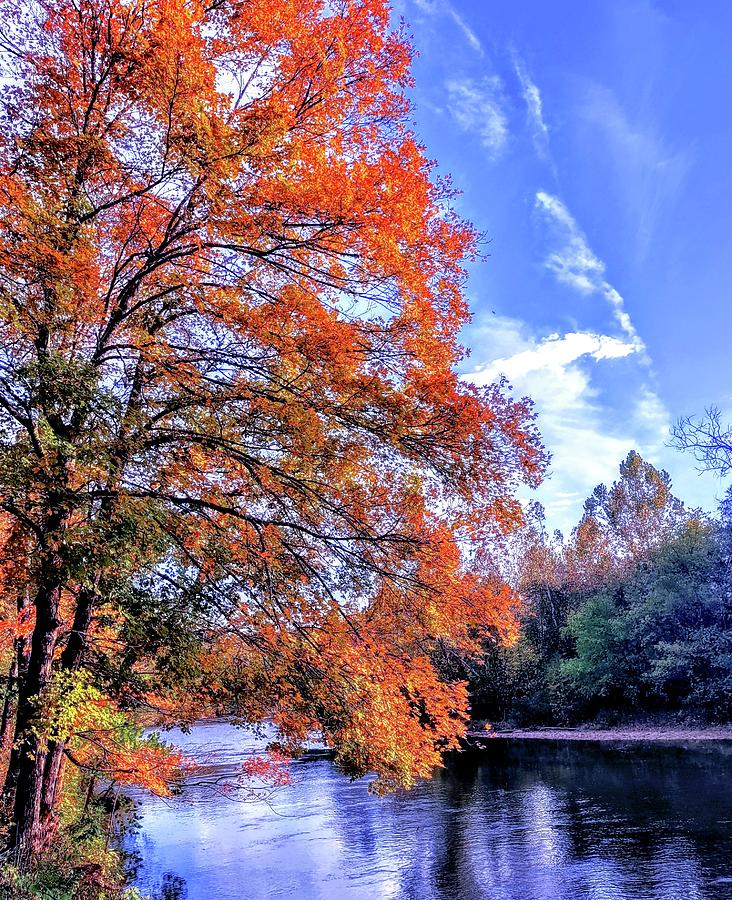 Missouri Gold Photograph by Bud Haffner - Fine Art America