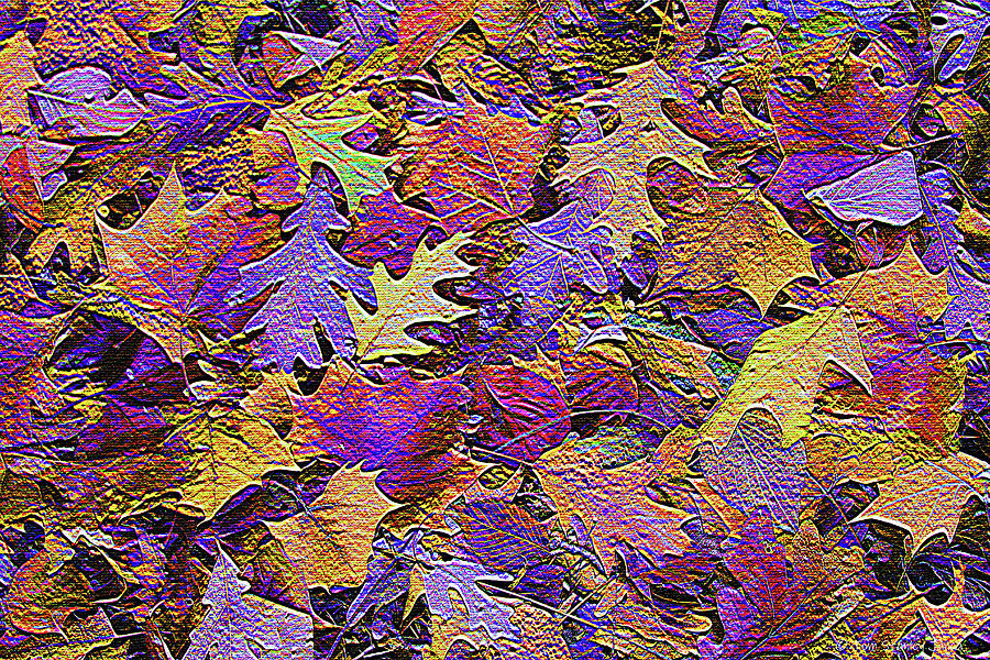 Missouri Oak Forest Fall Leaves Digital Art by Tom Janca