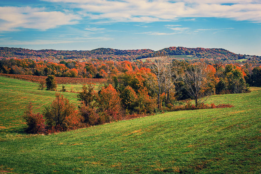 Missouri wine country Photograph by Jim Williams