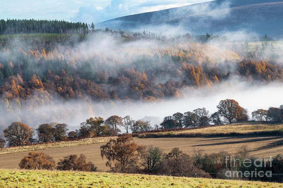Mist Along the River Spey Photograph by Tim Gainey