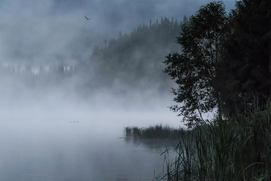Mist and Silhouettes on the Lake Photograph by Belinda Greb