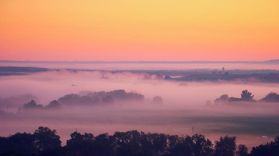 Mist-Covered Fields Photograph by Whitney Goodey Mist-Covered Fields Photograph by Whitney Goodey