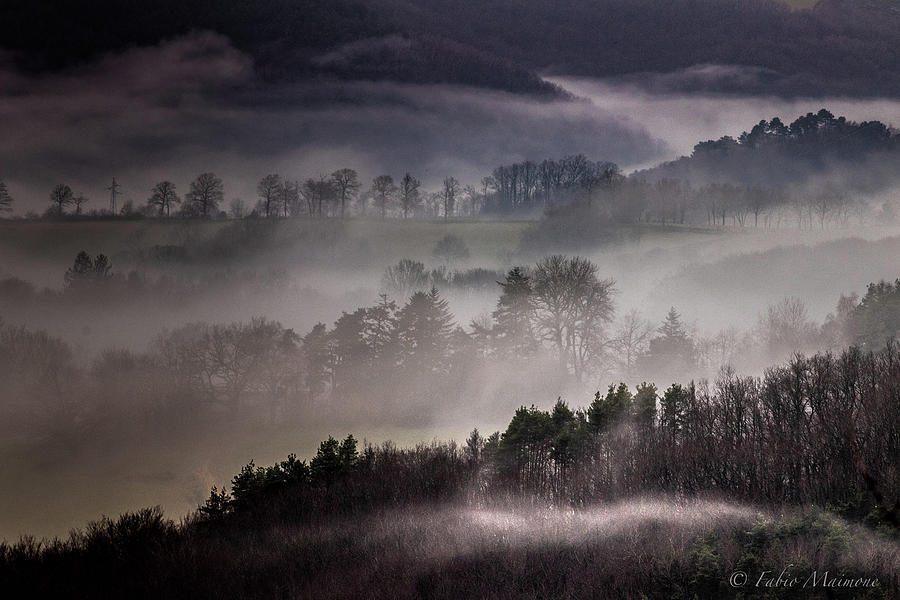 Mist  Photograph by Fabio Maimone